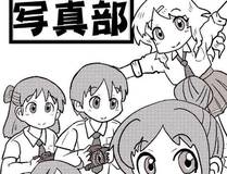 从大树开始的进化